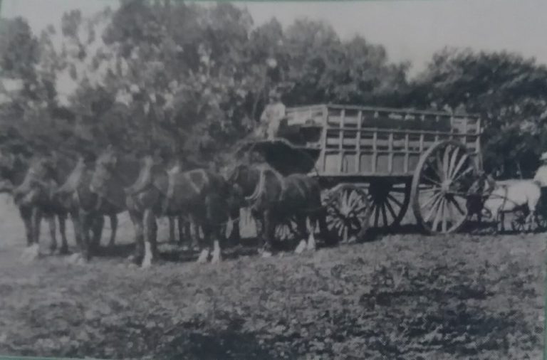 Historias: Oficios olvidados de la ciudad