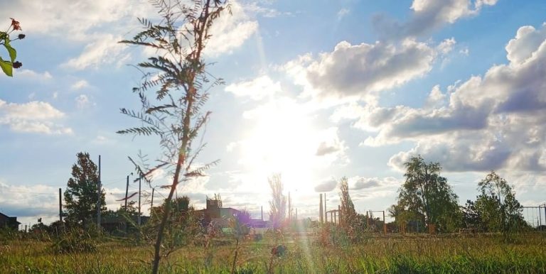 Dos jornadas para aprender a cuidar el medioambiente