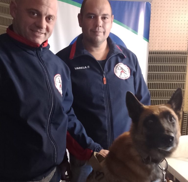 Bomberos celebra su día con la tradicional caravana